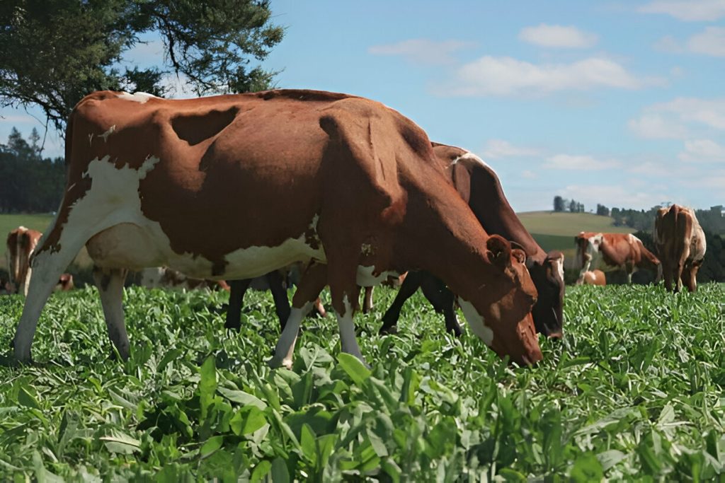 GetPaidStock.com 6844798e23475